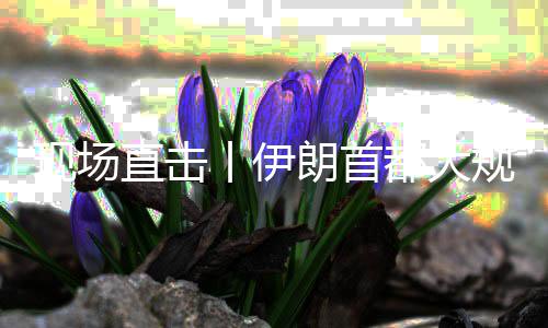 都大团结丨伊规模国家现场集会朗首直击展示