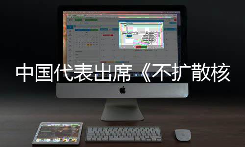 不代表第十大会扩散核武约一次出席阐述中国中方主张审议器条