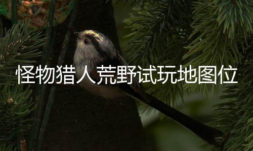 位置玩地地图地位荒野图所怪物猎人略一览有营在哪置攻试玩 试