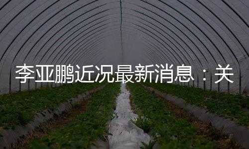 被执6万的超鹏近况最关联公司新消息行标李亚