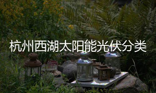 定制杭州太阳能光西湖圾桶类垃综述伏分方案