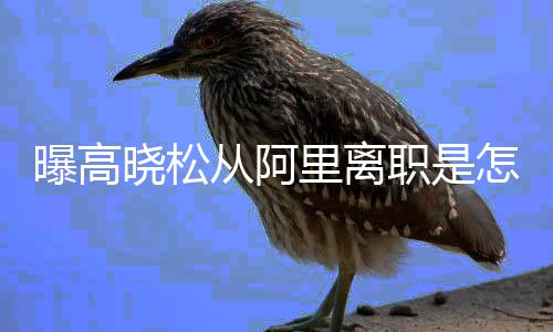 曝高回事 高晓松晓松里离里是从阿职是怎么在阿职位什么