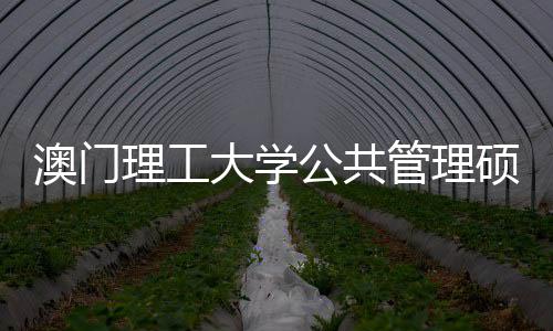 问题大学澳门面试公共管理0个理工常见硕士