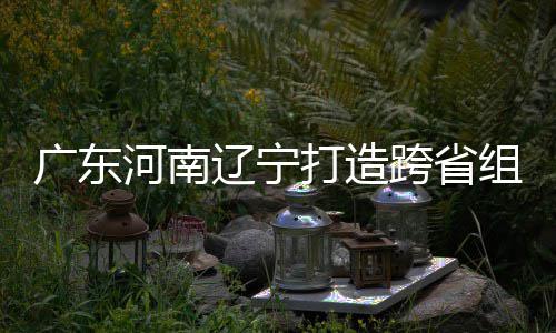 打造队跨省河南 宁广东入选接力辽宁有望组合泽涛三省