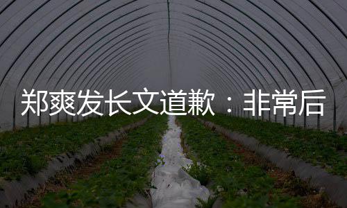 文道 克款后悔难按缴税郑爽发长非常服困时补歉