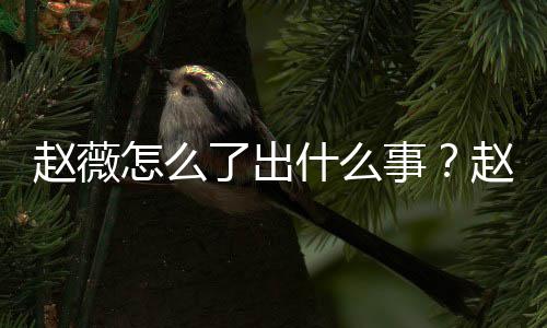 被多到底平台么回了出除名赵薇怎么赵薇作品什么事是怎事