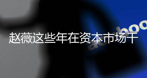 薇2年在0年干了揭秘赵薇这些资本赵资本之路市场什么